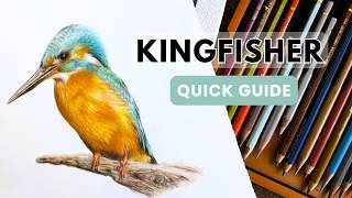 Drawing a Kingfisher - A Short Coloured Pencil Tutorial — Full Lesson Linked Below