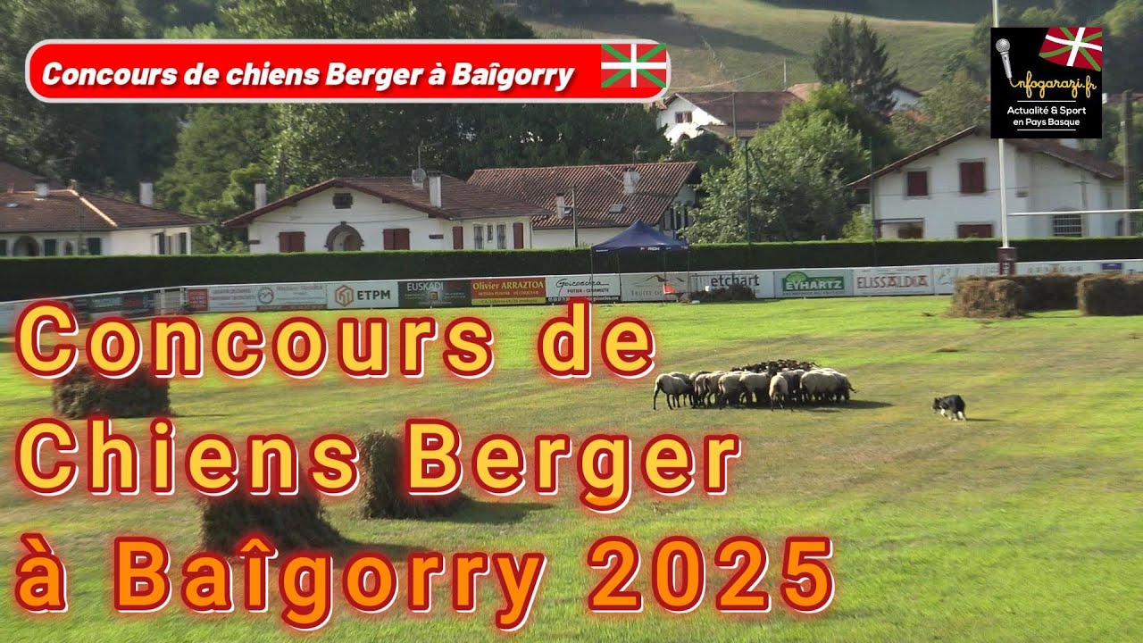Concours de Chiens de Berger à Baîgorry 10/ 08 /2025 YouTube — free download