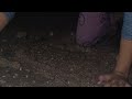  العقبة البحر عشق لا ينتهي أجواء بتجنن نجومي