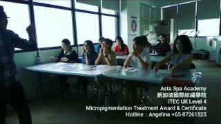 Itec Uk Level 4 Micropigmentation Treatment In Singapore
