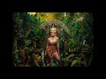 提雅斯多 Tiësto 卡蘿姬 Karol G Don T Be Shy 華納官方中字版 