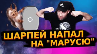 Как «Шарпей» На Стриме Угрожал «Марусе» Разбить Ей «Улыбало»! / Минусинский Боец Вернулся С Вахты!