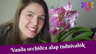 Vanda orchidea alap tudnivalók | Mit érdemes tudni a vanda orchidea nemzetségről?