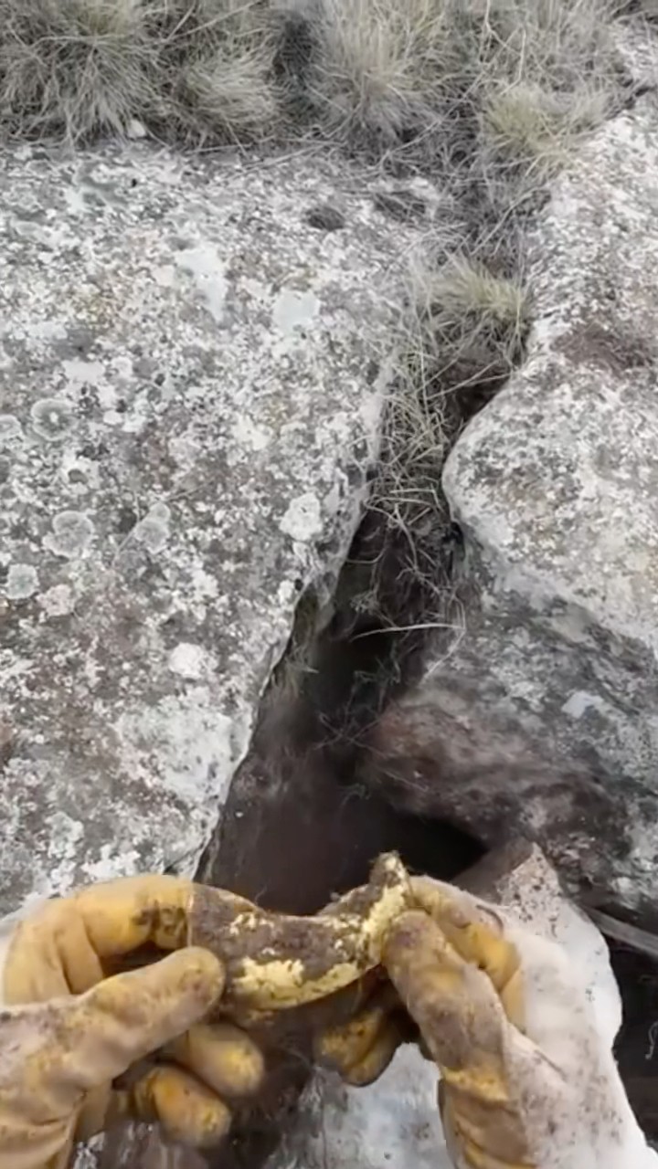 Hazine Kasasından Cıkan Altın !!