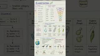 biological classification