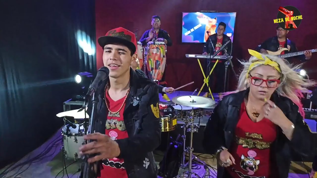 Los Gatos Locos -Hoy la vi Pasar- 🔴 LIVE