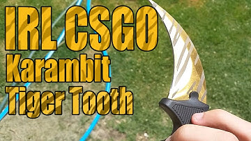 IRL Karambit Tiger Tooth Showcase