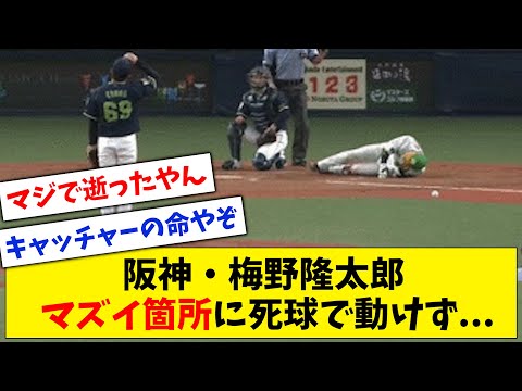 【負傷交代】阪神・梅野隆太郎、マズイ箇所に死球を受けてしまいその場で動けず...【なんJ なんG反応】【2ch 5ch】