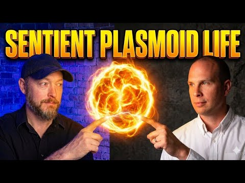 Sentient Plasmoid Life -David Grusch