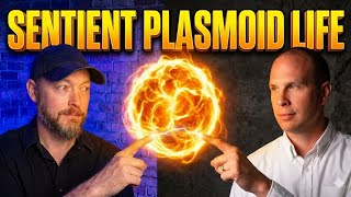 Sentient Plasmoid Life -David Grusch