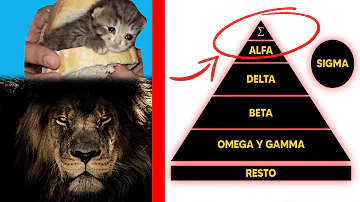 ¿Quién es más poderoso alfa u omega?