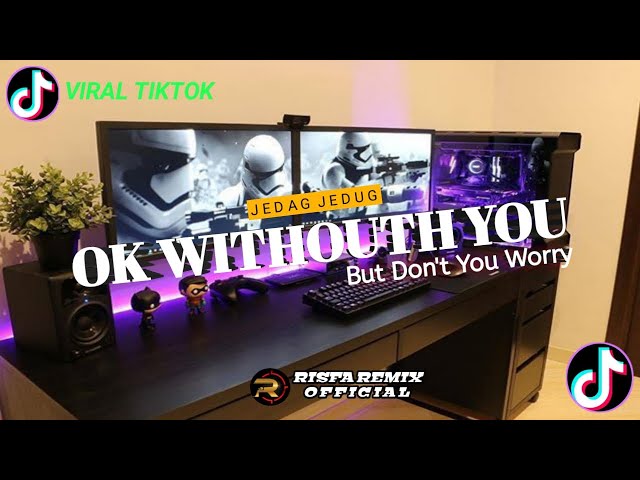 DJ Ok Withouth You - Viral Tiktok || Risfa Remix class=