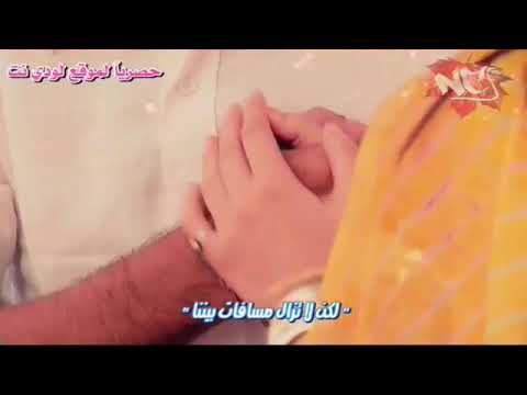 سيف نبيل ما اعوفك ابد والله ارناف وكوشي