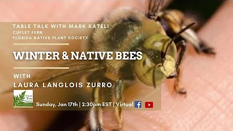 Winter & Native Bees  With Laura Langlois Zurro of...