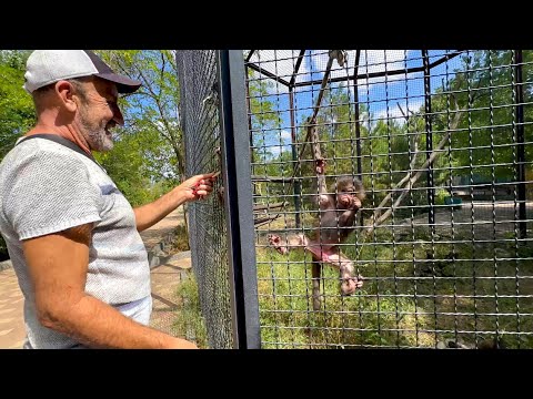 Степа и Маня пошли в вольер и устроили КИПИШЬ на весь парк!