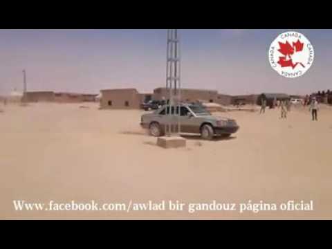 انواع الزيروات في الصحراء الغربية