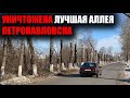 БЕЗУМНОЕ ОЗЕЛЕНЕНИЕ ПЕТРОПАВЛОВСКА ПРОДОЛЖАЕТСЯ/ЯНВАРЬ 2021