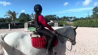 Red & Black Riding Day ❤️🖤 Ruby Tries a Voltaire Saddle & Free Ride Breeches