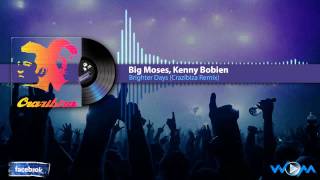 Big Moses ft. Kenny Bobien - Brighter Days (Crazibiza Remix)[HD]