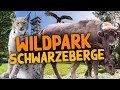 Wildpark Schwarze Berge | Zoo-Eindruck