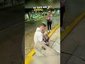 The dog started crying after seeing its owner