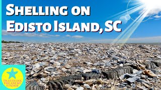 South Carolina Shelling on Edisto Island | Beautiful Beach and tons of shells! by Traveling Treasure Finder 9,792 views 1 year ago 10 minutes, 23 seconds