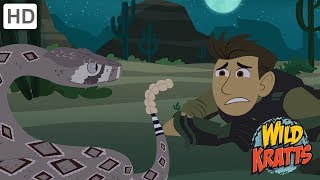 Wild Kratts  The Wildlife Adventure | Kids Videos