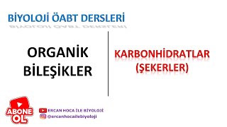 6 Karbonhi̇dratlar Biyoloji Öabt Dersleri