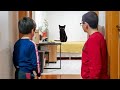 Buğranın Odasında Siyah Kedi Var. Black Cat in The Room Fun Kids Video