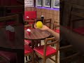 🍊✨ Comece bem seu dia com um suquinho fresquinho no Café Engenharia! ✨🍊