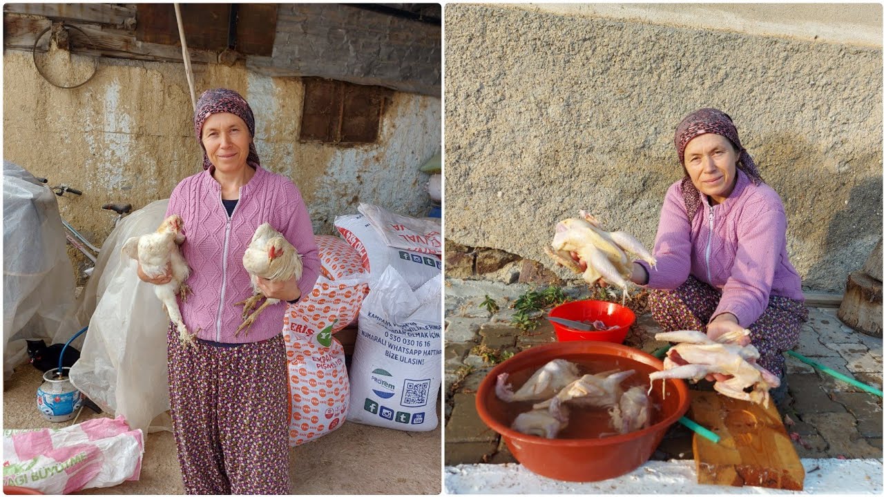 ORGANİK KÖY HOROZLARIMI TEMİZLEDİM🐓 | BU İŞLER BENDEN SORULUR👍
