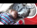 Шотландская кошка и ребенок. VLOG