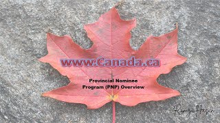 Canadian Provincial Nominee Program (PNP) Overview نظرة عامة عن برنامج ترشيح المقاطعات الكندي