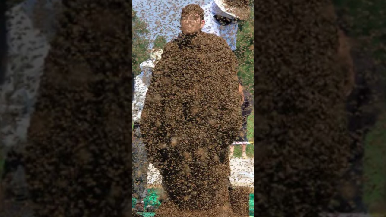 This man covers his entire body with bees😱 | 