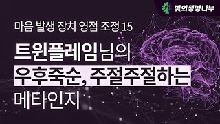 메타의식구현시스템 영점조정 : &#39;트윈플레임&#39;님의 &quot;우후죽순, 주절주절 메타&quot;