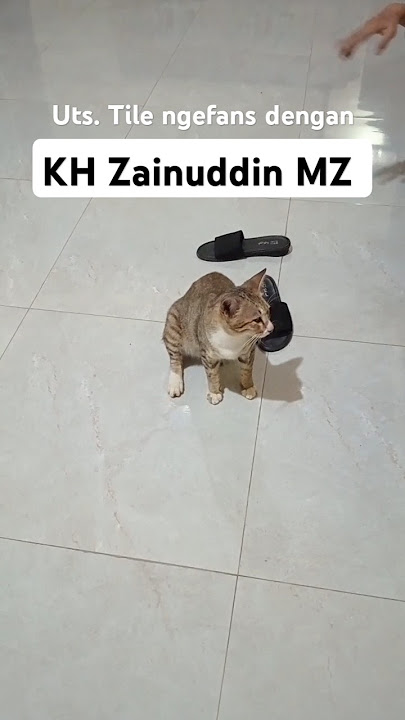 Ustadz Tile|| #ceramahlucu #lucu #ustadtile #zainudinmzceramahlucufull #storywa #pengajian #motivasi
