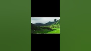 سورة الزمر من الاية 23  : الاية 24 بصوت رائع جدا