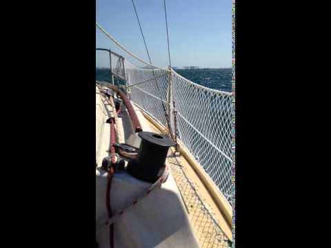 Investigator 563 motoring