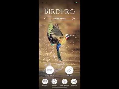 BirdPro
