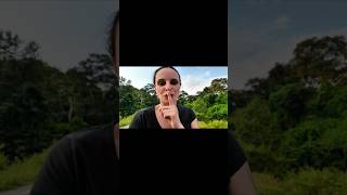 This Place Is Magic africa uganda forest nature murchisonfallsnationalpark