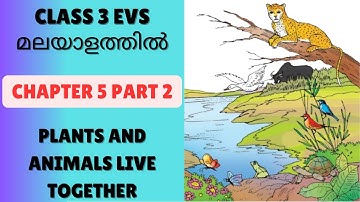 CHAPTER 5 - PLANTS AND ANIMALS LIVE TOGETHER  PART 2 : CBSE/KV CLASS 3 EVS (NCERT TEXTBOOK)