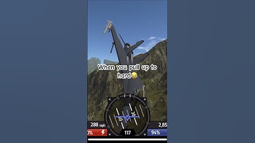 When you pull up to hard #aviation #simpleplanes