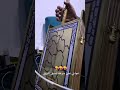 عزف ربابه عودي على بسرعة تسبق البرق 