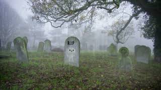 A Dark End For New Bingo Lbb Meme 12