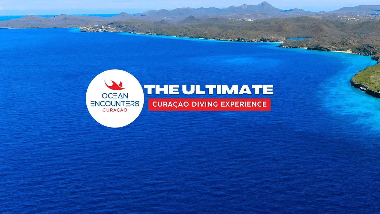 Experience the Ultimate Caribbean Diving Adventures with Ocean Encounters Curacao