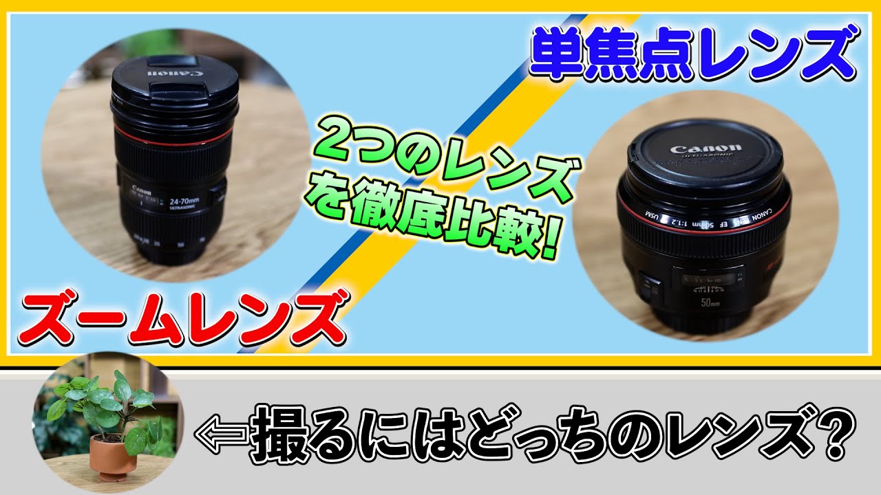 東京カメラ機材レンタル】ズームレンズと単焦点レンズについて - YouTube