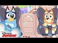Bluey Season 3 Episode 42 &quot;Show and Tell&quot; Episode Clip | @disneyjunior x @BlueyOfficialChannel