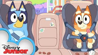 Bluey Season 3 Episode 42 &quot;Show and Tell&quot; Episode Clip | @disneyjunior x @BlueyOfficialChannel
