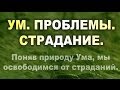 УМ. ПРОБЛЕМЫ. СТРАДАНИЯ. Свойство Ума - создавать проблемы. И приносить страдания (Ошо, Адвайта)