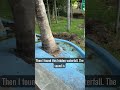 Best resort on earth #trending #nature #travel